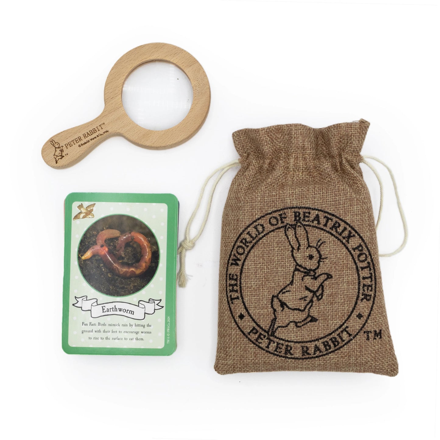 Peter rabbit bug spotting activity set