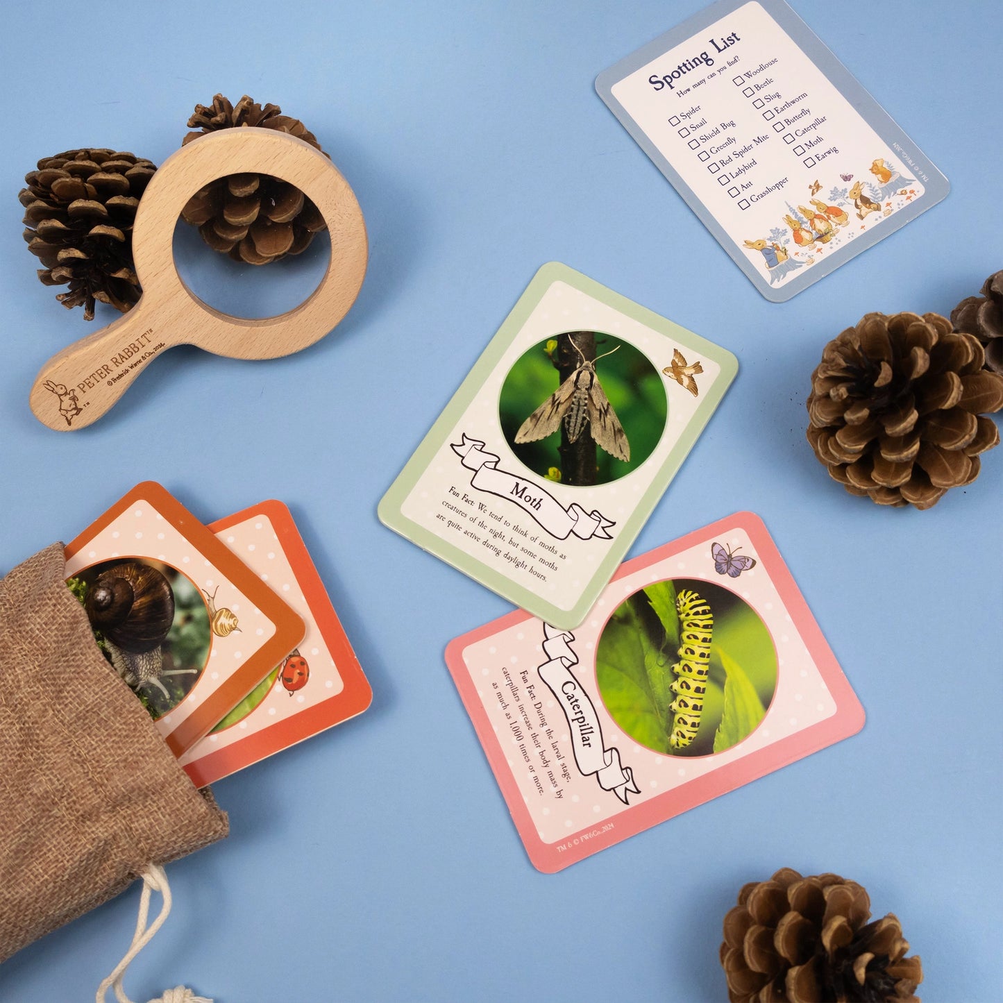 Peter rabbit bug spotting activity set