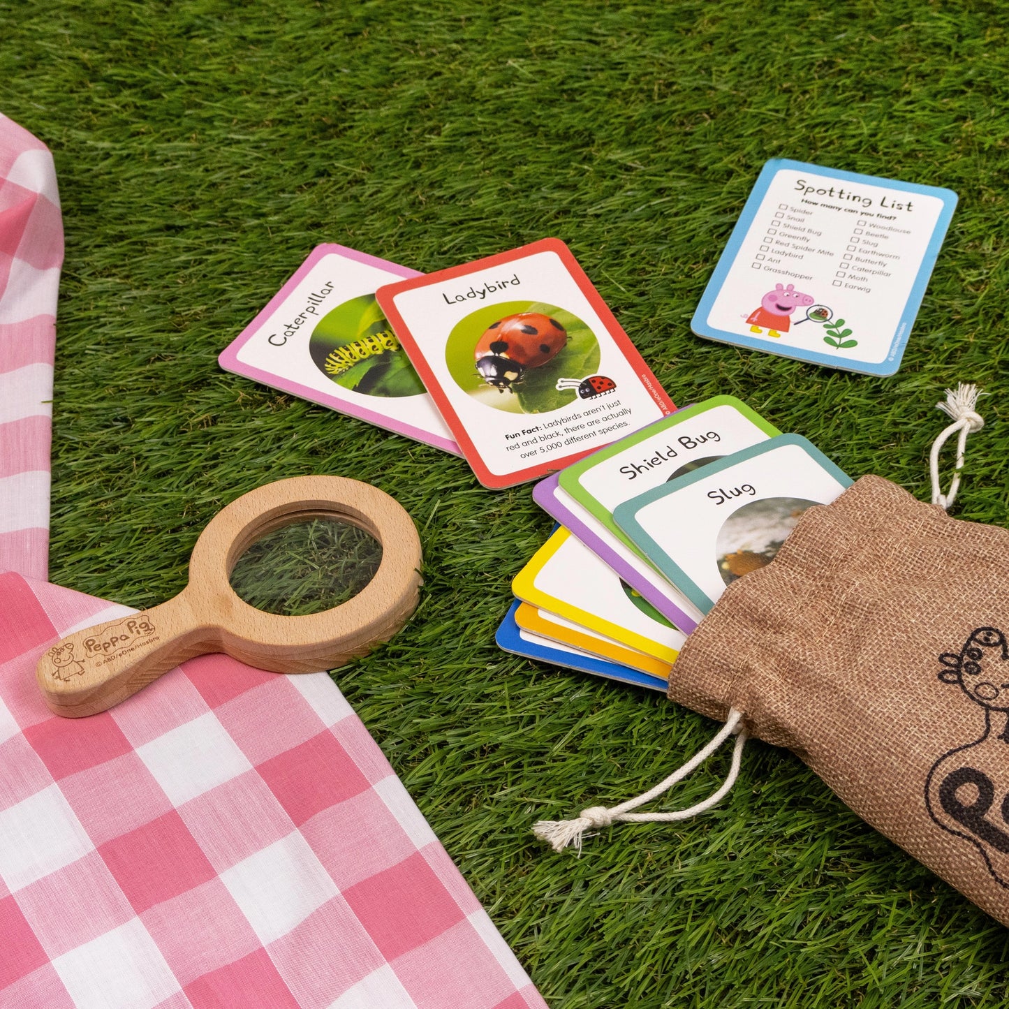 Peppa pig bug spotting activity set