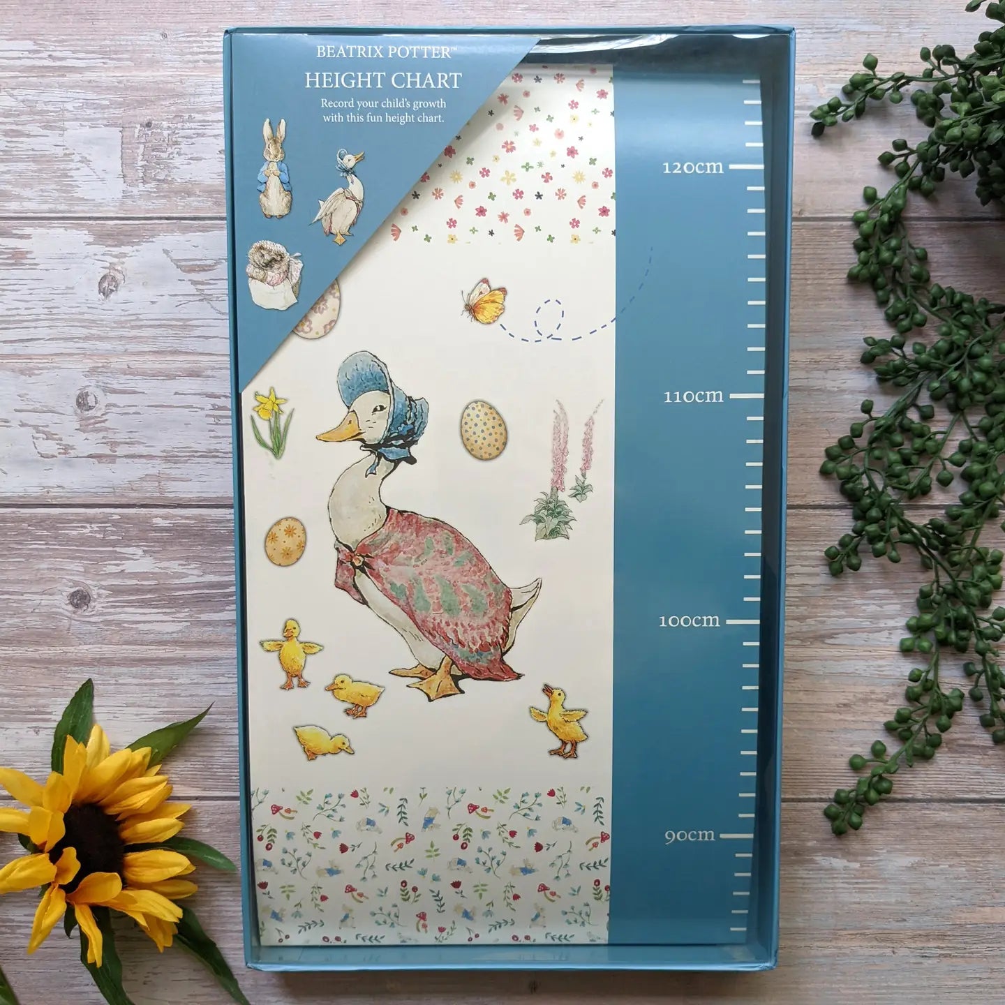 Peter Rabbit Height chart - PreOrder